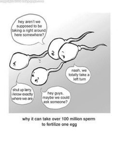 Room For Laughter: The Best IVF Treatment Memes - XenithIVF