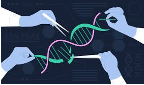 What’s Next for IVF