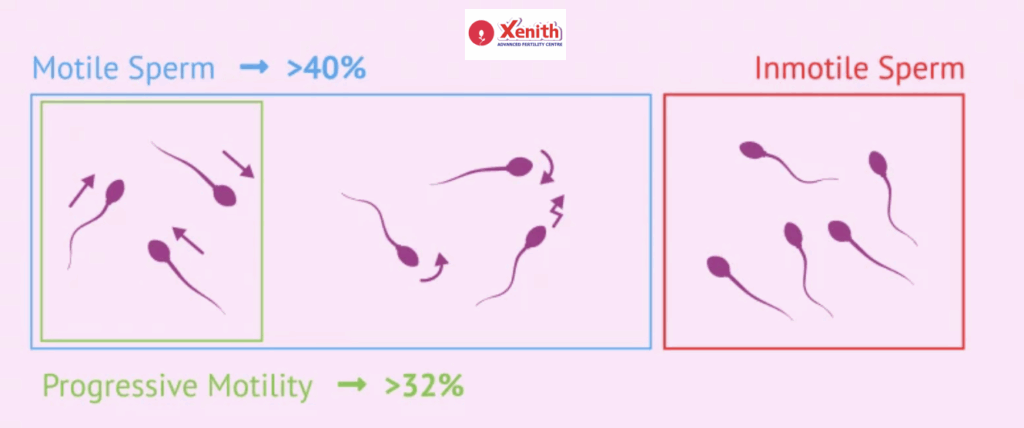 Progressive motility