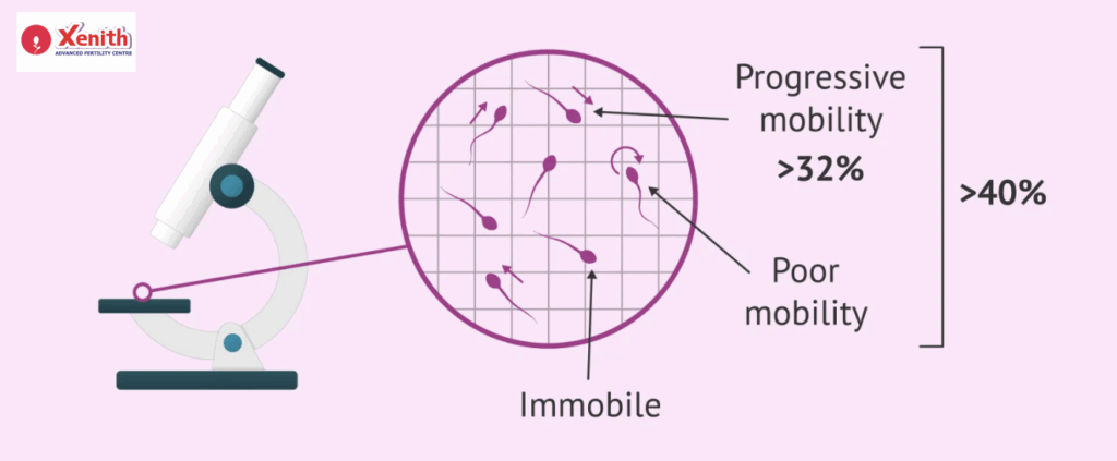 Total motility